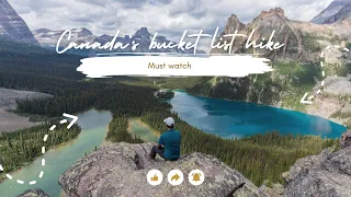 LAKE O'HARA| The Most Famous Hike In Canada | Yoho National Park | Lake Opabin