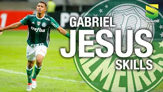 Gabriel Jesus - Magic Skills, Dribles & Gols | Palmeiras HD