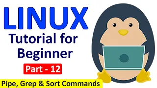 Linux Tutorial for Beginners Part - 12 | Pipe, grep, sort commands