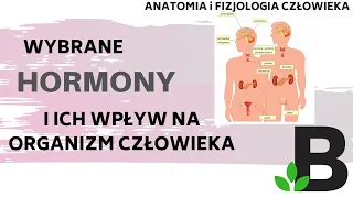 Wybrane HORMONY i ich wpływ na organizm - układ hormonalny - Anatomia  - KOREPETYCJE z BIOLOGII 305