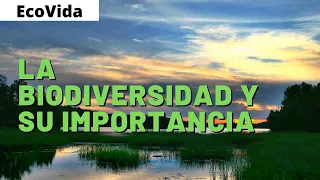 La BIODIVERSIDAD y su IMPORTANCIA 🐸 (VIDEO EDUCATIVO) 📚