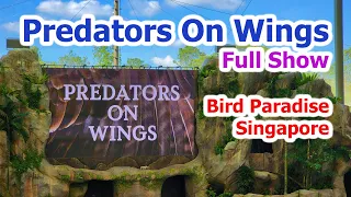 Bird Paradise Singapore Predators On Wings Full Show