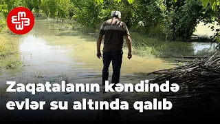 Zaqatalanın kəndində evlər su altında qalıb