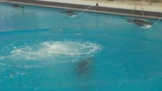 2010 SCAC Swimming and Diving Championships  - Women's 3-Meter