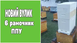 Новий вулик ППУ на 6 рамок. Найкращий нуклеус