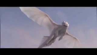 HTTYD 3 Toothlees X Light Fury Halo (Spoilers)