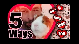 5 Ways to Make Your Guinea Pig Love You