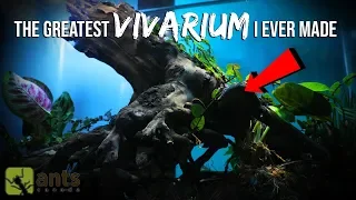 The Greatest Vivarium I Ever Made (Ecosystem with Multiple Creatures)