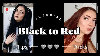 Removing 7 Years of Black Box Dye With NO DAMAGE! Dying My Hair Copper/Red!