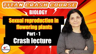 Biology l Sexual reproduction in flowering plants 1 l Titan Crash Course l NEET