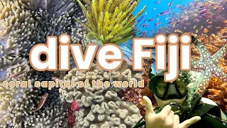 SCUBA Diving the SOFT CORAL CAPITAL OF THE WORLD | Fiji Dive Trip | GoPro Hero 10 Underwater