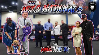 ABKC NATIONALS 2022 HOUSTON, TX | DOG SHOW