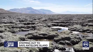 Antelope Island on life support due to shrinking Great Salt Lake, experts say