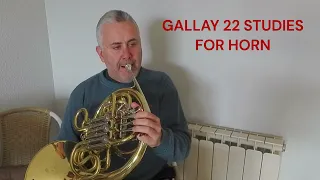 GALLAY 22 STUDIES FOR HORN