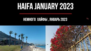 Haifa january 2023  Январь 2023 в Хайфе  Music by Sergei Chekalin