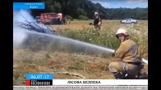 Черкаські рятувальники «приборкували» лісову пожежу