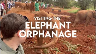 Visiting the Elephant Orphanage in Nairobi VLOG