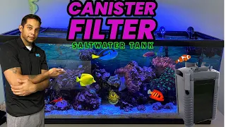 Saltwater Aquarium with canister filter