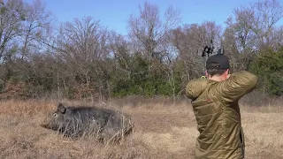 Bowhunting Wild Hogs in Texas | SLO-MO!!