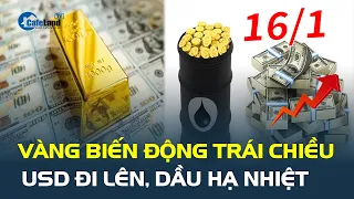 Giá vàng hôm nay 16/1 BIẾN ĐỘNG TRÁI CHIỀU, USD đi lên, dầu hạ nhiệt| CafeLand