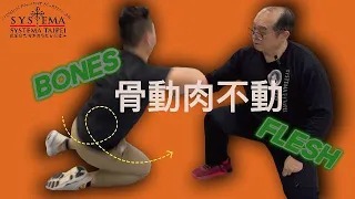 西斯特瑪：骨動肉不動  Systema:move the bone without moving the flesh