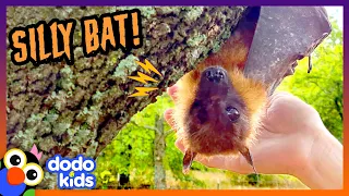 Silly Bat Tries SO Hard To Be Scary! | Dodo Kids | Happy Halloween