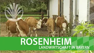 Landwirtschaft in Bayern: Landkreis Rosenheim in Oberbayern