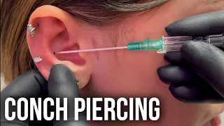 CONCH NEEDLE PIERCING 🔥 How painful are conch piercings? @undergroundbodypiercing