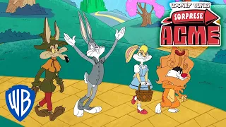 Sorprese ACME | I Looney Tunes nel mondo del Mago Di Oz! | @WBKidsItaliano