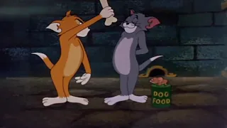 02  Tom and Jerry Switchin  Kitten, Episode 115