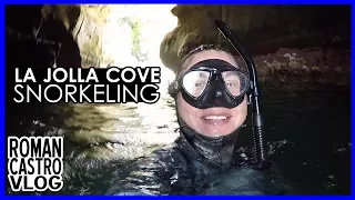 La Jolla Cove Snorkeling