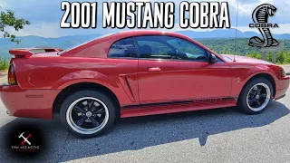 An Affordable Muscle Car | The 2001 Mustang COBRA