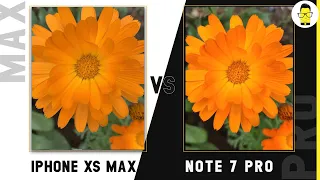 Redmi Note 7 Pro vs iPhone XS camera comparison: was Xiaomi telling the truth?