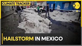 Surprise hailstorm amid heatwave in Mexico | WION Climate Tracker