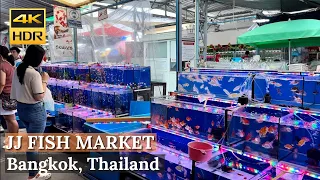 [BANGKOK] Chatuchak Fish Market "Largest Fish Market In Bangkok!" | Thailand [4K HDR Walking Tour]