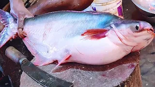 Amazing Giant Pangas Fish Cutting Live In BD Fish Market | Big Fish Cutting Skills