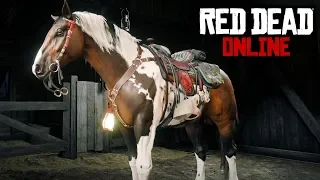 The Best Race Horse In RDO! MAX Level Norfolk Roadster Review - Red Dead Online Moonshiners Update