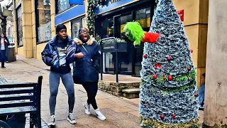 GRINCH IN A CHRISTMAS TREE PRANK! Bushman Prank