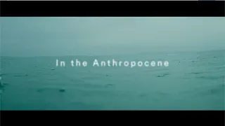 Nick Mulvey  - In the Anthropocene