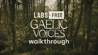 Walkthrough: LABS Gaelic Voices — FREE Choir VST