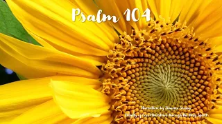 150 Days of the Psalms- Psalm 104