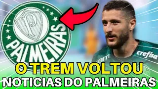 DIRETO DA ACADEMIA DE FUTEBOL! AS INFORMAÇÕES DO PALMEIRAS NA LIBERTADORES.