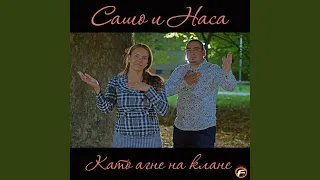 Като агне на клане