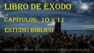 EXODO CAPÍTULO 10 Y 11  ESTUDIO BIBLICO