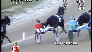 Lost For Words Scioto Downs 7/23/16