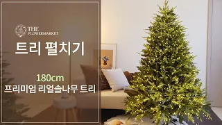 [크리스마스트리 예쁘게 펼치기🎄] 180cm 프리미엄 리얼솔나무트리 | 대형 트리 조립방법 | 크리스마스 트리 설치