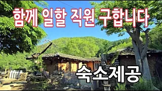 자연생활 하면서 돈도 벌고 싶은분_돌탑공원 자연인 보기 힘든 이유