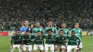 Palmeiras no Campeonato Brasileiro 2015 - Campanha Completa