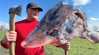 Interesting Soup from Huge Sturgeon Head! You Must Try This Recipe