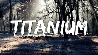 Titanium Lyrics   David Guetta ft  Sia    SIA, Selena GomezTitanium Lyrics   David Guetta ft  Sia